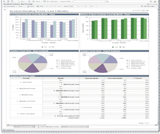 Custom Reports
